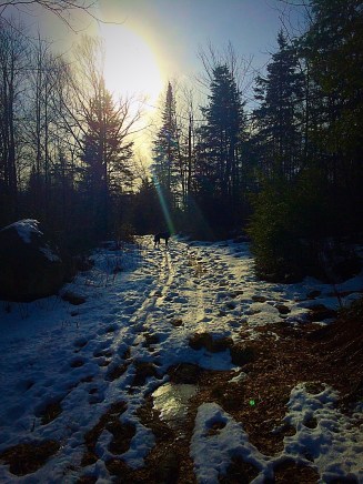 638330DA-2957-46FB-933E-52D8D4802208