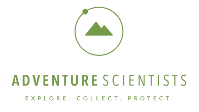 as-primary-and-tag-gr