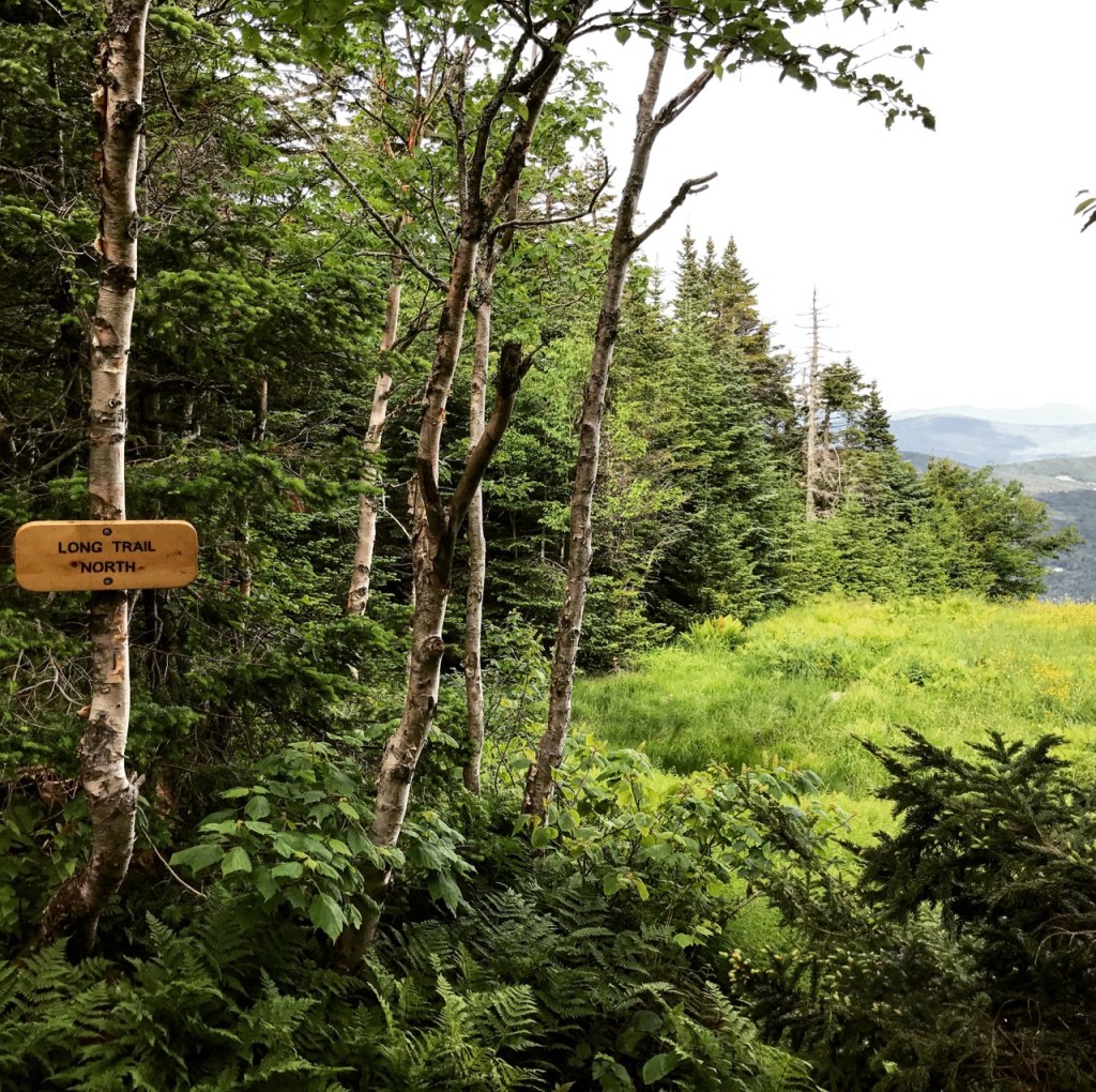 Help support stewardship & build resilience in&nbsp;Vermont!