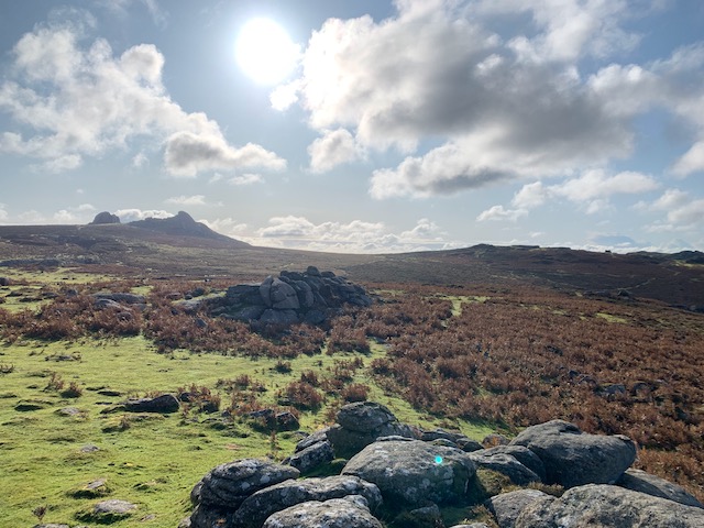 Radical relationality