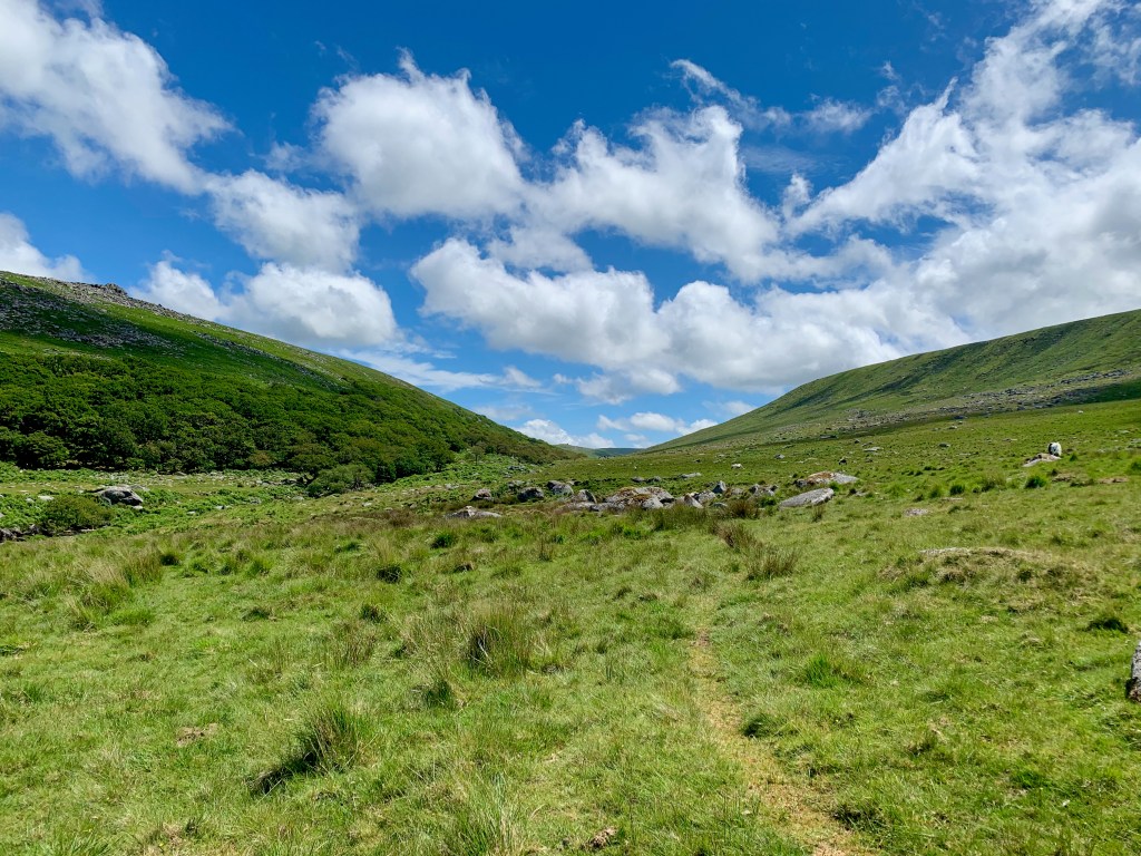 The Heart of&nbsp;Dartmoor