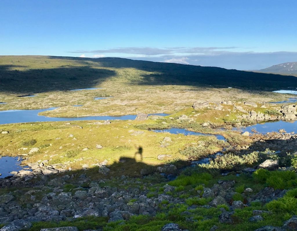 Resistance, Resilience, Regeneration 