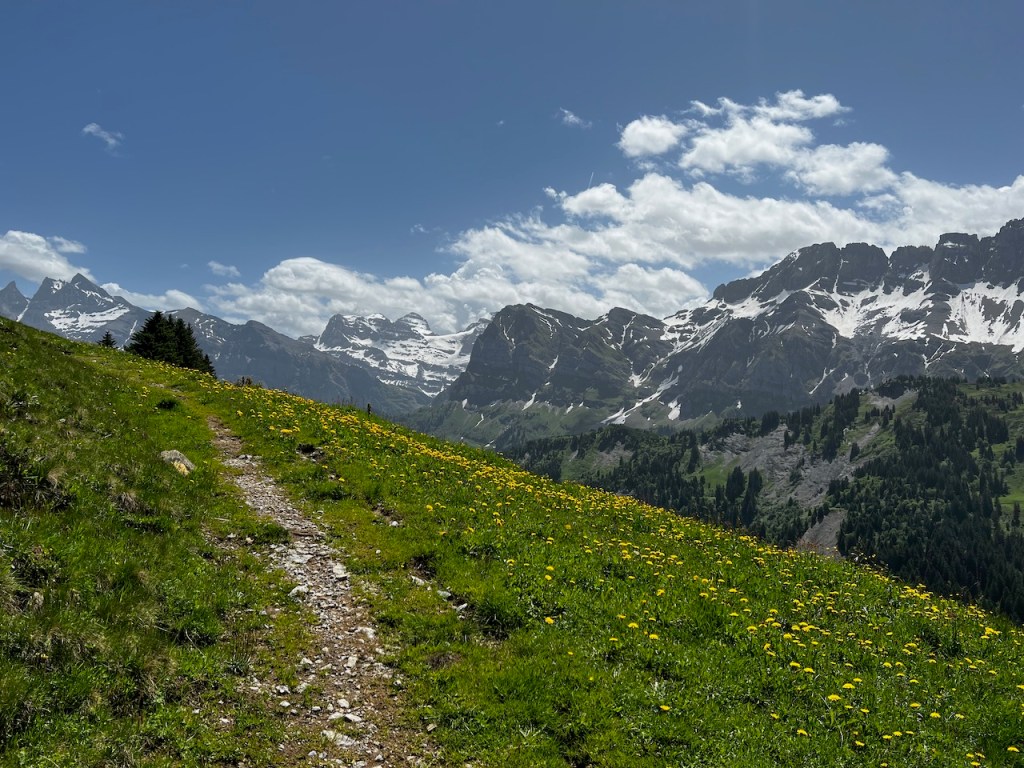 Mountains and memory: philosophy and&nbsp;physiology